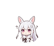 882613064