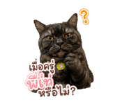 882621755