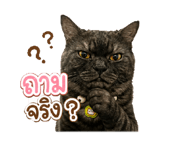 882621765