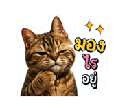 882623561