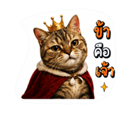 882623576