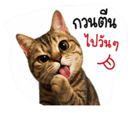 882623591