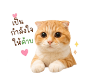 882623633