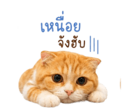 882623640