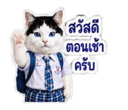 882623723