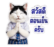 882623724