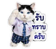 882623725