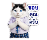 882623726