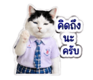 882623731
