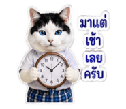 882623734