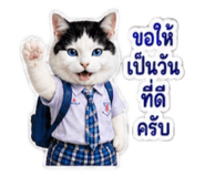 882623735