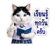 882623742