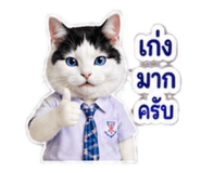 882623750