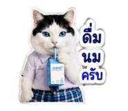 882623752