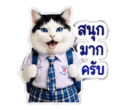 882623753
