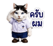 882624876