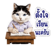 882624885