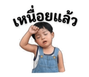 882625146