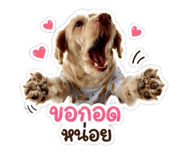 882625842