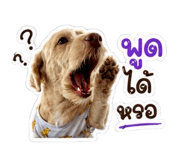 882625848