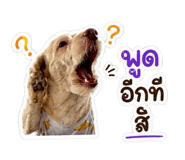 882625849