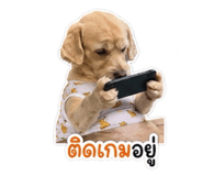 882625857