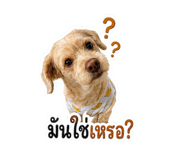 882625868