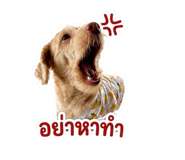882625879