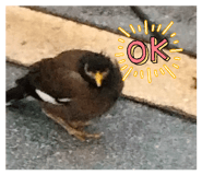882625883