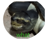 882625886