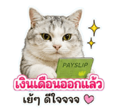 882626129