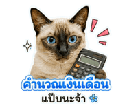 882626132