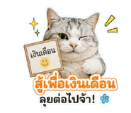 882626138