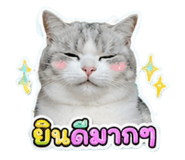 882627006