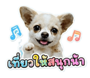 882627021
