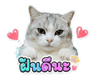 882627024