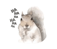 882627455