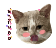 882627569