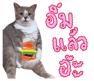 882627572