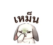 882627797
