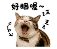 882635802