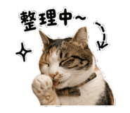 882635813