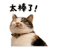 882635820