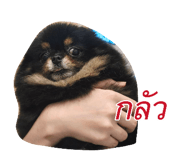 882644877