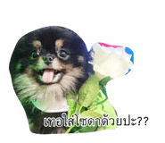 882644878