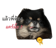 882644883