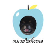 882644886