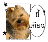 882646844