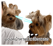 882646846