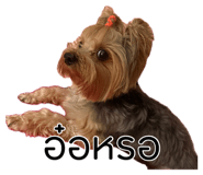 882646861